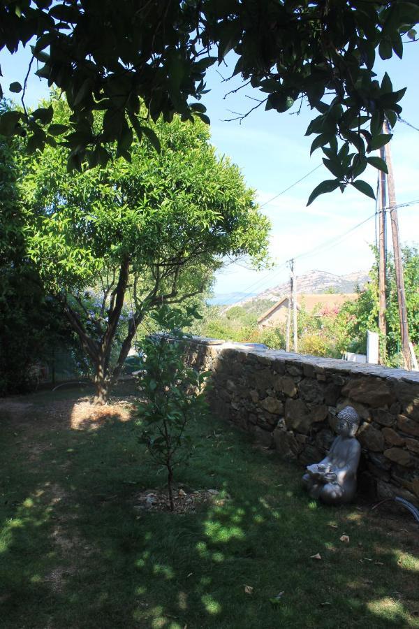 Appartamento Zen Barbaggio